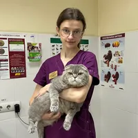 Катерина Колієнко